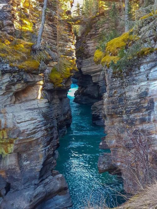 amazinglybeautifulphotography:Athabasca Falls, AB, Canada...