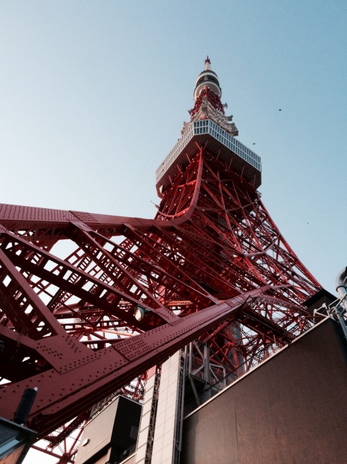 Terrific Tokyo tower trip.