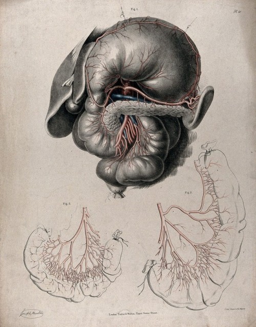 physiologicdeadspace