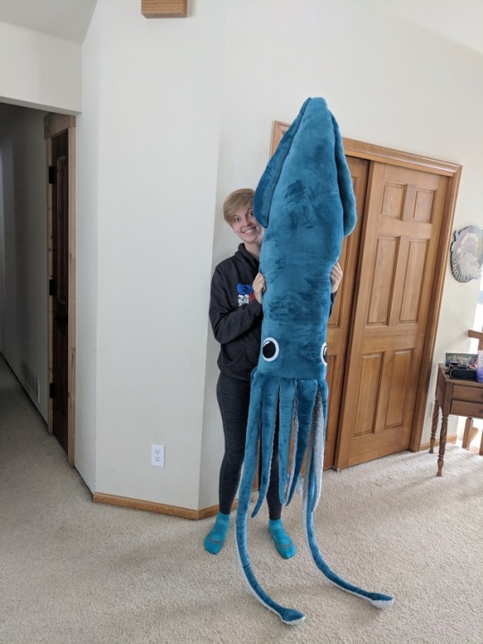 8ft squid pillow