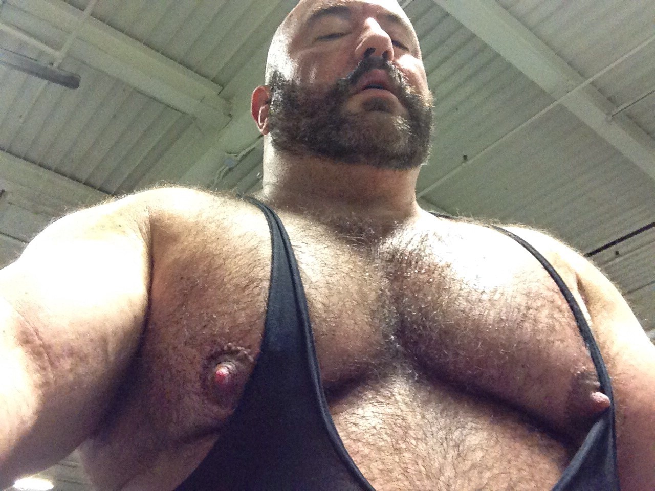 Hairy Muscle Pecs