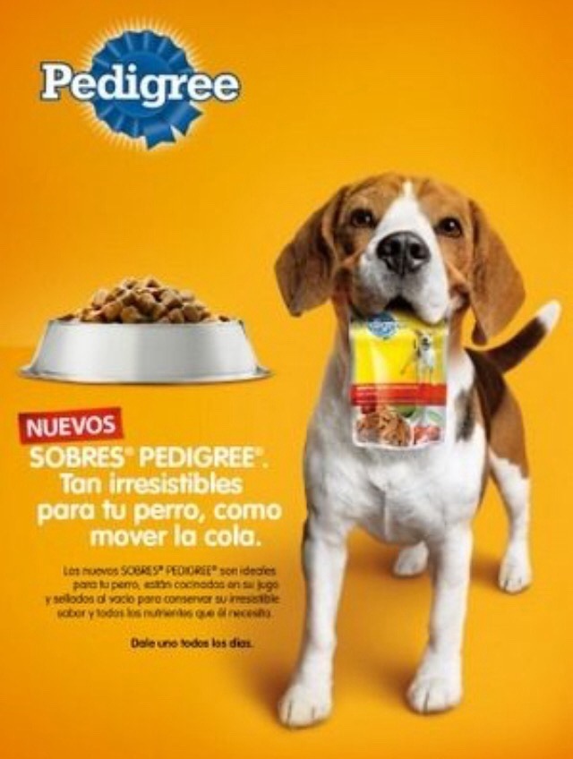 Just Pet Food Ads Spanish Pedigree Dog Food Ad