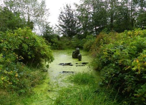 alyssaclarisse:Swamp sculpture in Eastern Ireland Oh my...