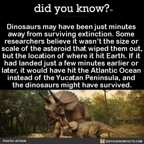 dinosaurs-may-have-been-just-minutes-away-from