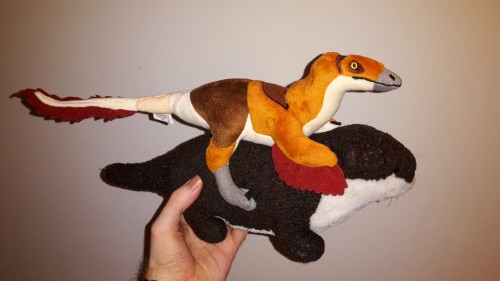 feathered dinosaur plush