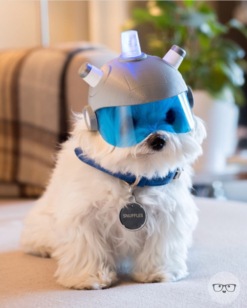 Where are my testicles Summer? Follow for more cute posts!