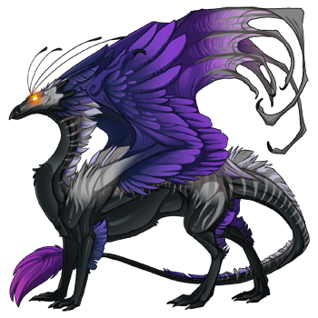 boilingheart