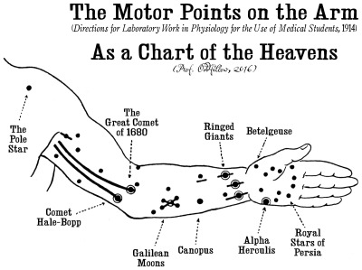 Motor Points Chart