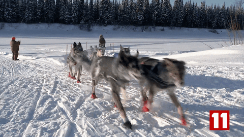 giffinggif