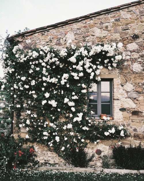 floralls:Tuscanyby da.vi.de