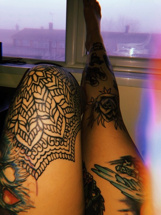 Tumblr on her knees Tumblr on her knees