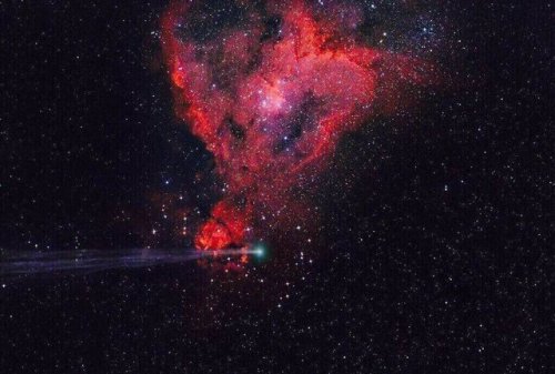 the-wolf-and-moon:Heart Nebula With Comet Jacques