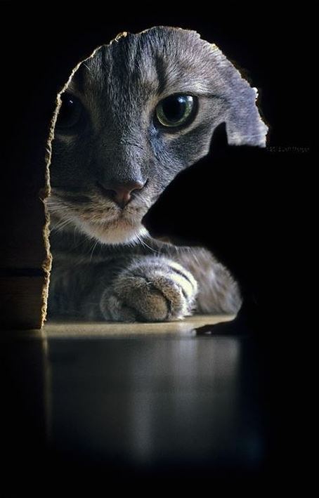 tumblr photo