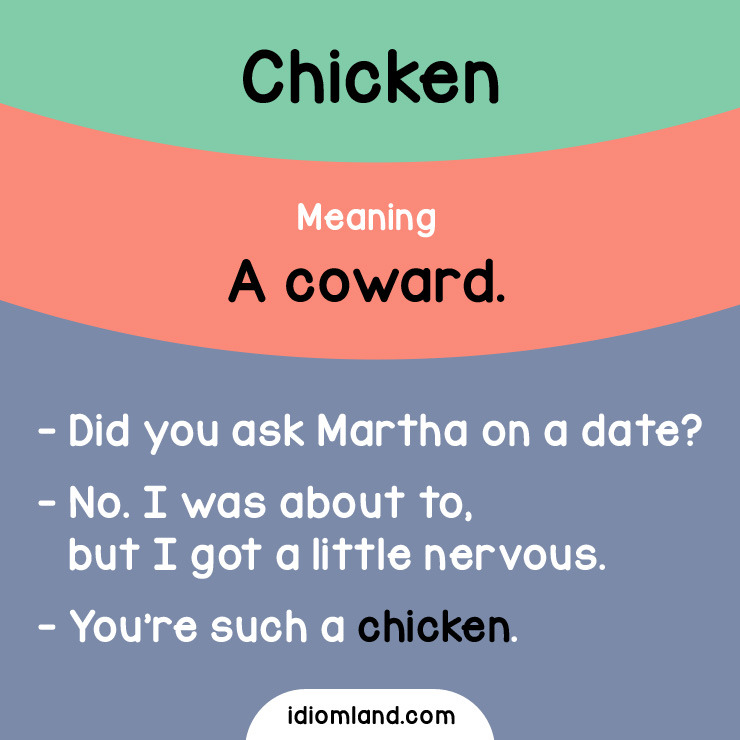 Idiom Land Slang Of The Day Chicken Meaning A Coward 