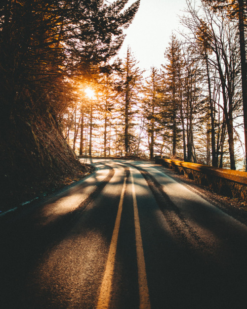 nicholaspeterwilson:Open Road.by Nicholas Peter Wilson