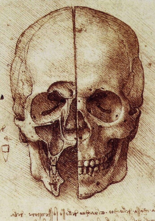 detailedart:Leonardo Da Vinci’s drawings and two design pieces...