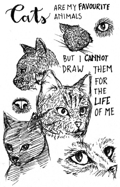 Drawing Cats Tumblr