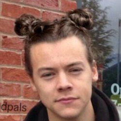 harry styles space buns