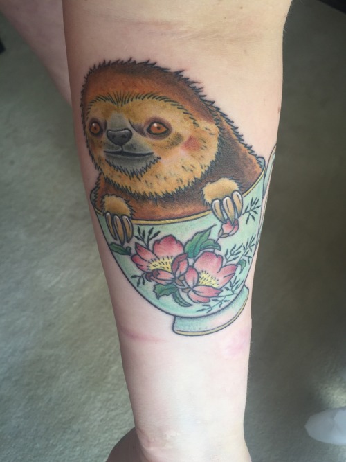 tattoo sloth teacup Tumblr teacup   sloth