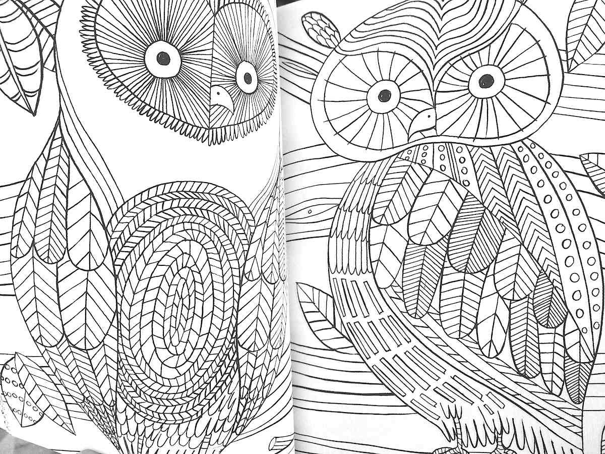 The Mindfulness Coloring Book: Anti-Stress Art...