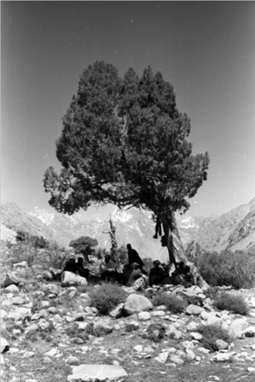 warkadang:Gujjar men and boys in Nuristan, Afghanistan. Pitt...