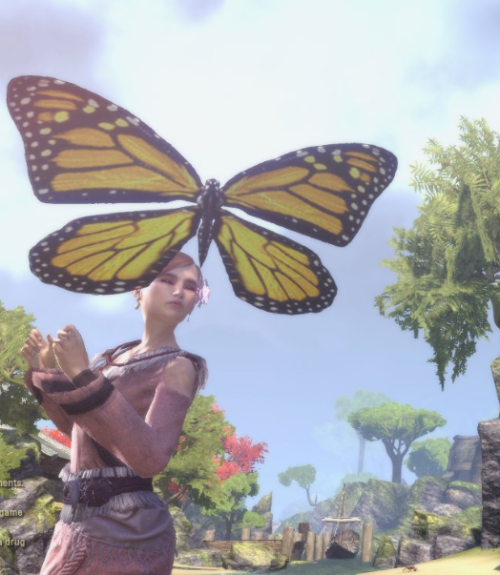 I made friends with a butterfly while taking cute pictures in...