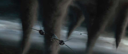 sharkchunks