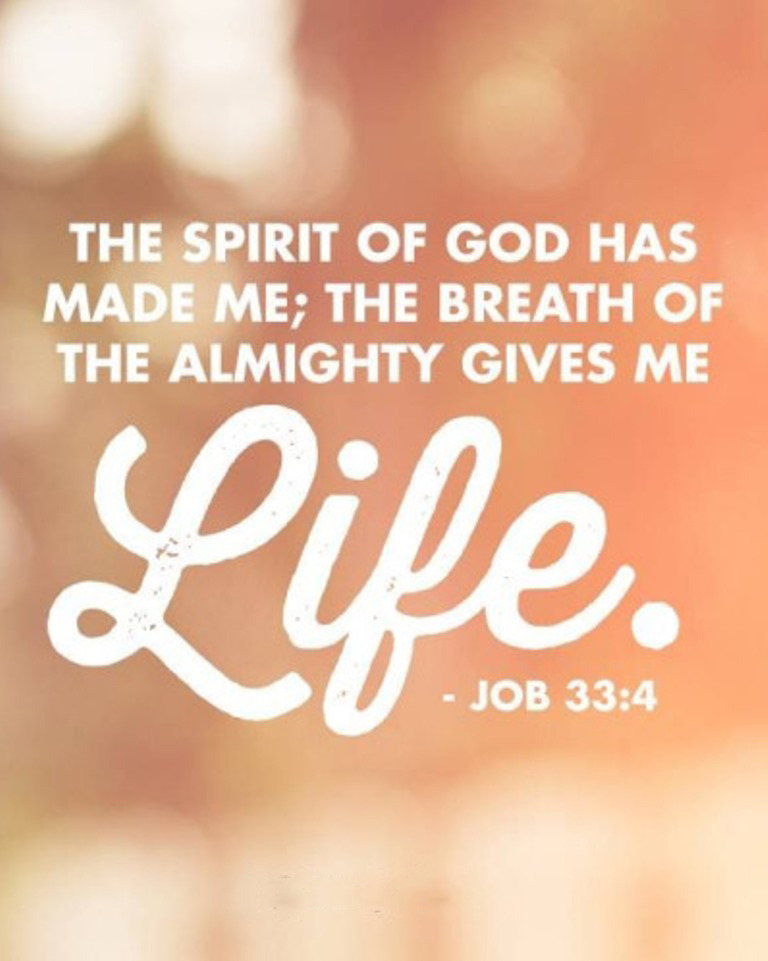 the-living-job-33-4-niv-the-spirit-of-god-has-made-me