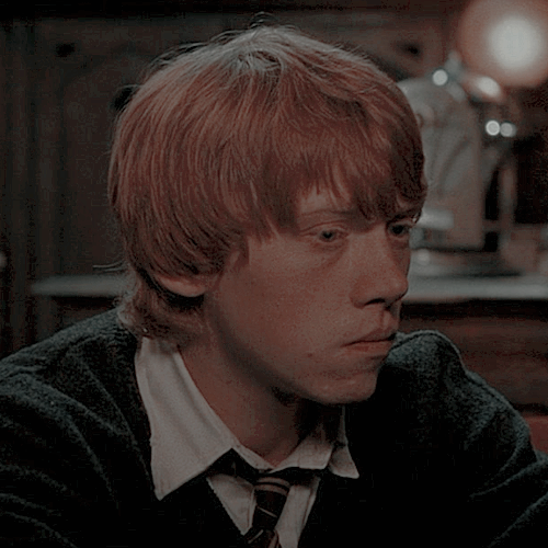 ron weasley in the order of phoenix. like/reblog... : mischief managed.