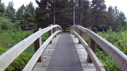 Stopped at Fogarty Creek State Park by Depoe Bay Oregon last...