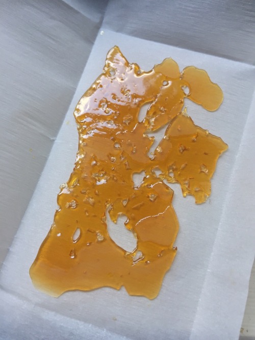 veeveeganja:Candyland Nug Run by Elusive Extracts