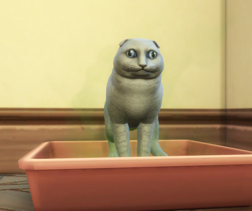 anakel13ts4stuff