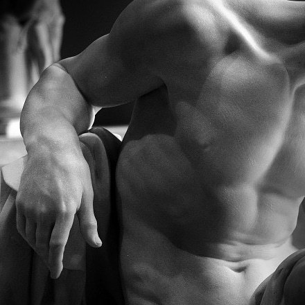 detailedart:Details: The Dying Gladiator, 1799, by Pierre...