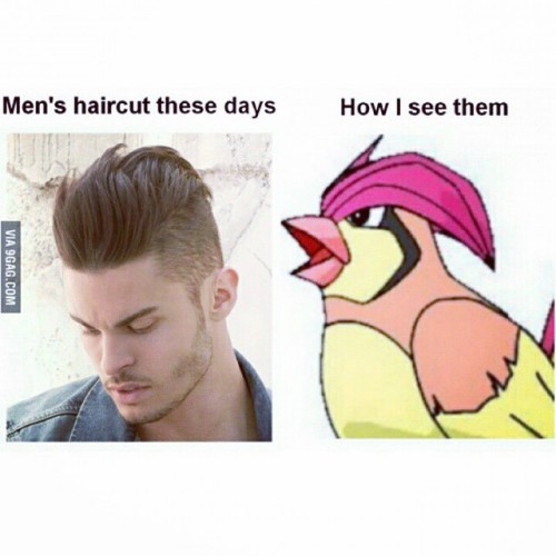 frankusparadise:#Pidgeotto everywhere…#haircut #wtf #NoStyle