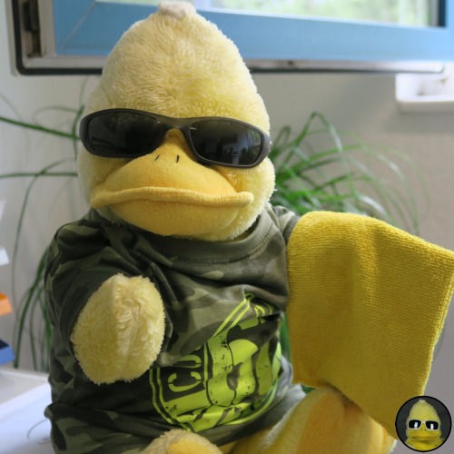 bigbirdbeckum