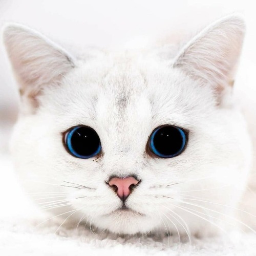 aww-so-pretty