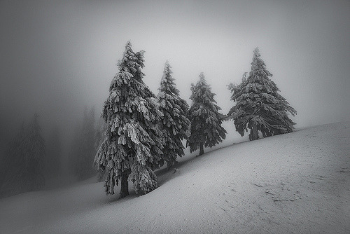 ponderation:Szabo Zsolt Andras       Photographer’s Website 