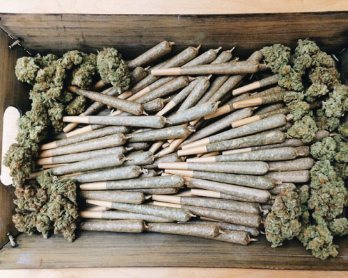 420lobby