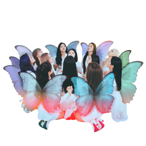 tumblr_pn8tx8o9091x0viv9o2_500.png