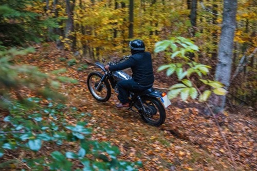 Escape from fall! Pic by @glatzzo #KlassikKustoms #suzuki #sp370...