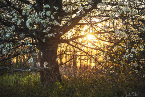 justinderosaphotography:Echoes Beyond