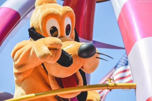 diaqon-ally:disneyworldsisters: Festival of Fantasy Pluto...