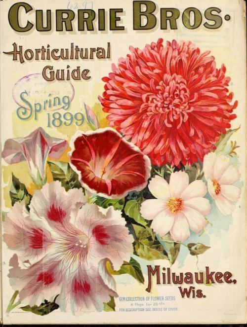 heaveninawildflower:Spring seed catalogues (from late 1800′s to...