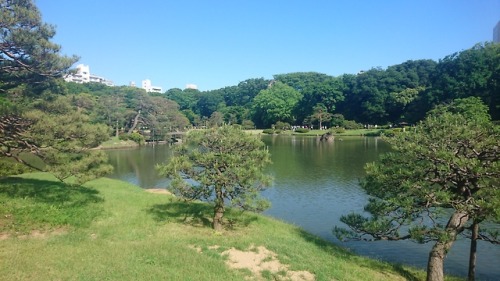 新緑の六義園