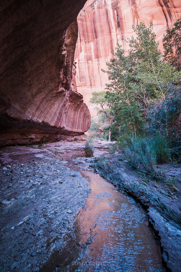 canyon road light