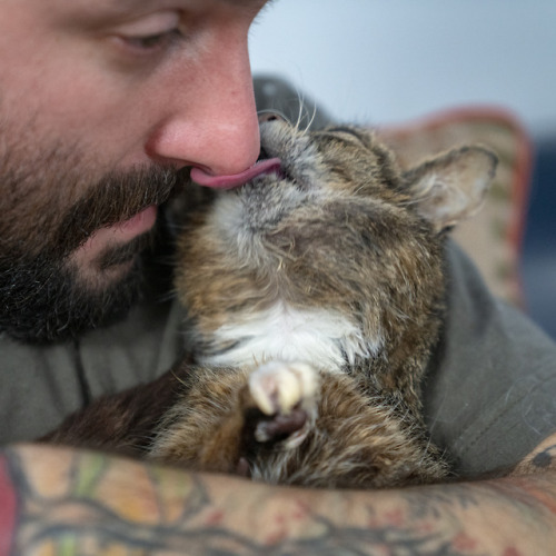 bublog:Who needs a tissue when you have a BUB