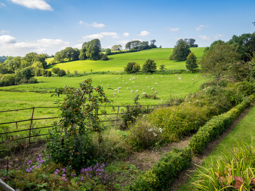 outdoormagic:Buckland Abbey View, Cornwall by Bob Radlinski