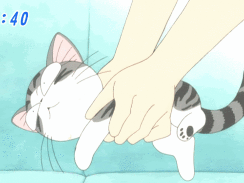 anime kitten anime cat gif