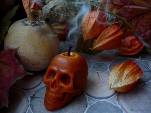 mariadragonia:Skull candles - Etsy