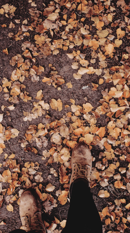 autumn lockscreens | Tumblr